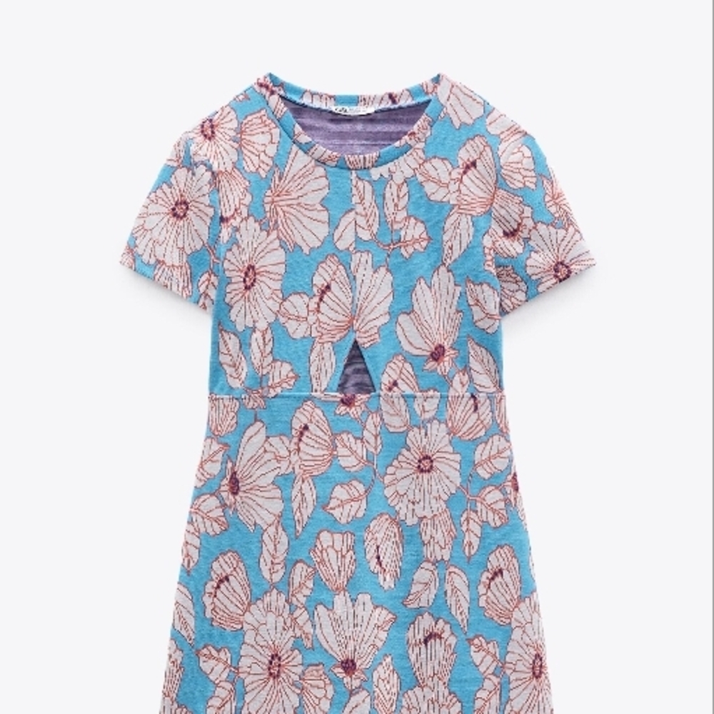 Zara Blue Floral Dress